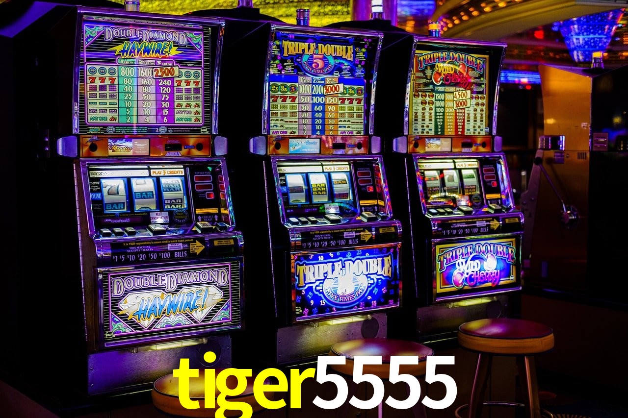Estatísticas Esportivas tiger5555