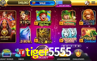 A Emoção da Loteria na tiger5555: Uma Chance de Mudança de Vida