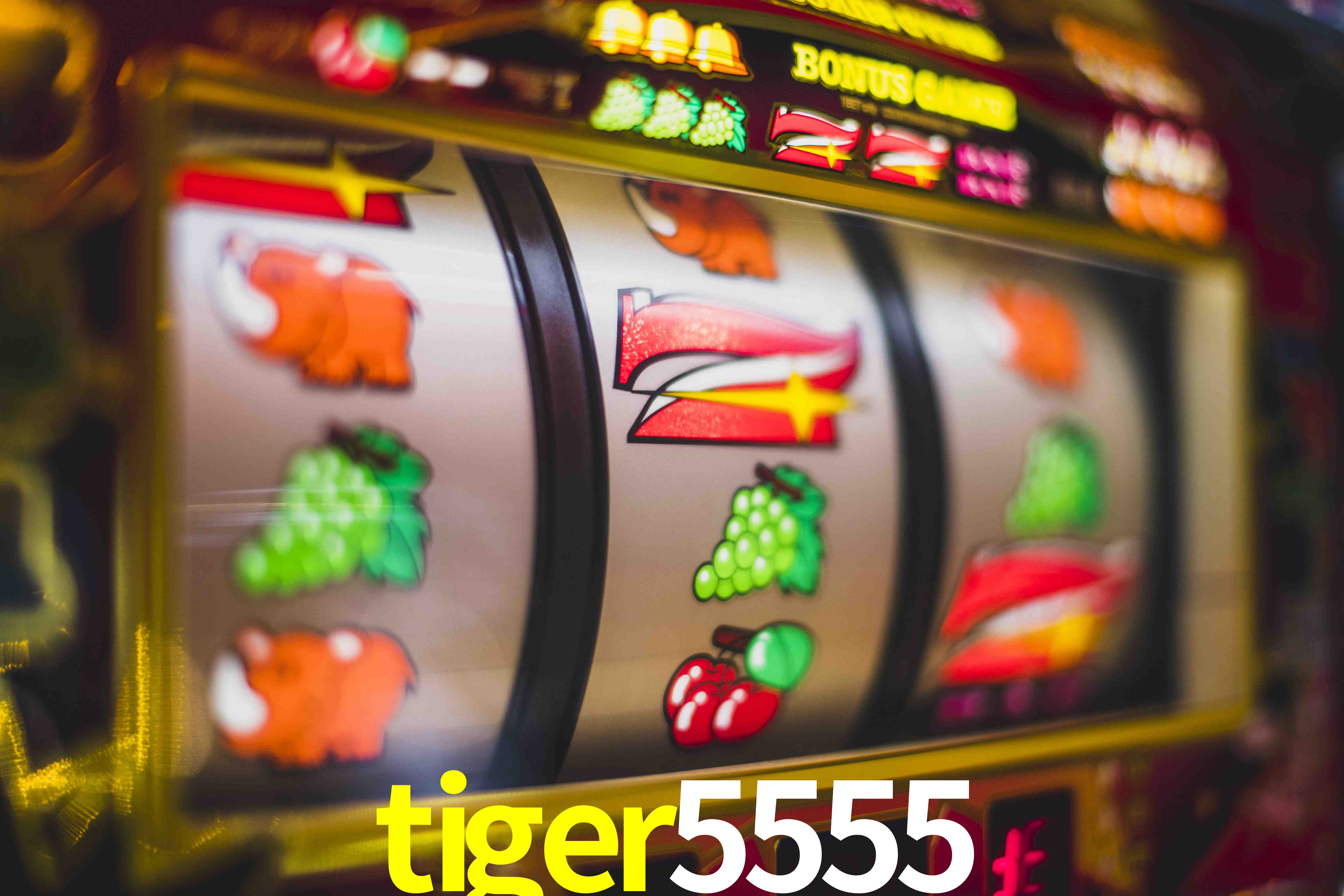 Basketball Betting tiger5555