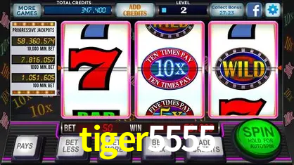 cassino tiger5555